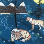 Detailfoto van de stof eenzame wolf, bergen en de maan